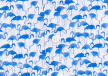Load image into Gallery viewer, The Blue Parksley Printed Seersucker Casual Shirt Casual Shirt- Ledbury