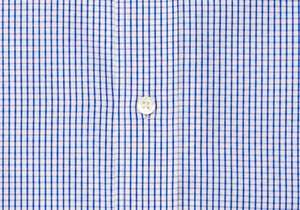 The Blue Coleridge Box Check Dress Shirt